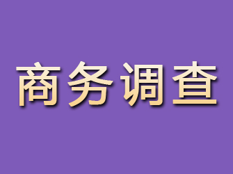 霍州商务调查